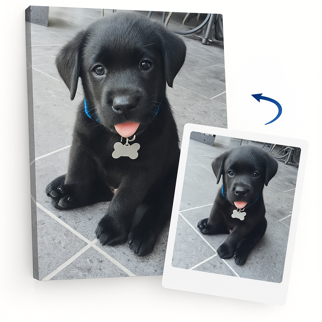 Dog Custom Paint By Numbers Kit Paintsy