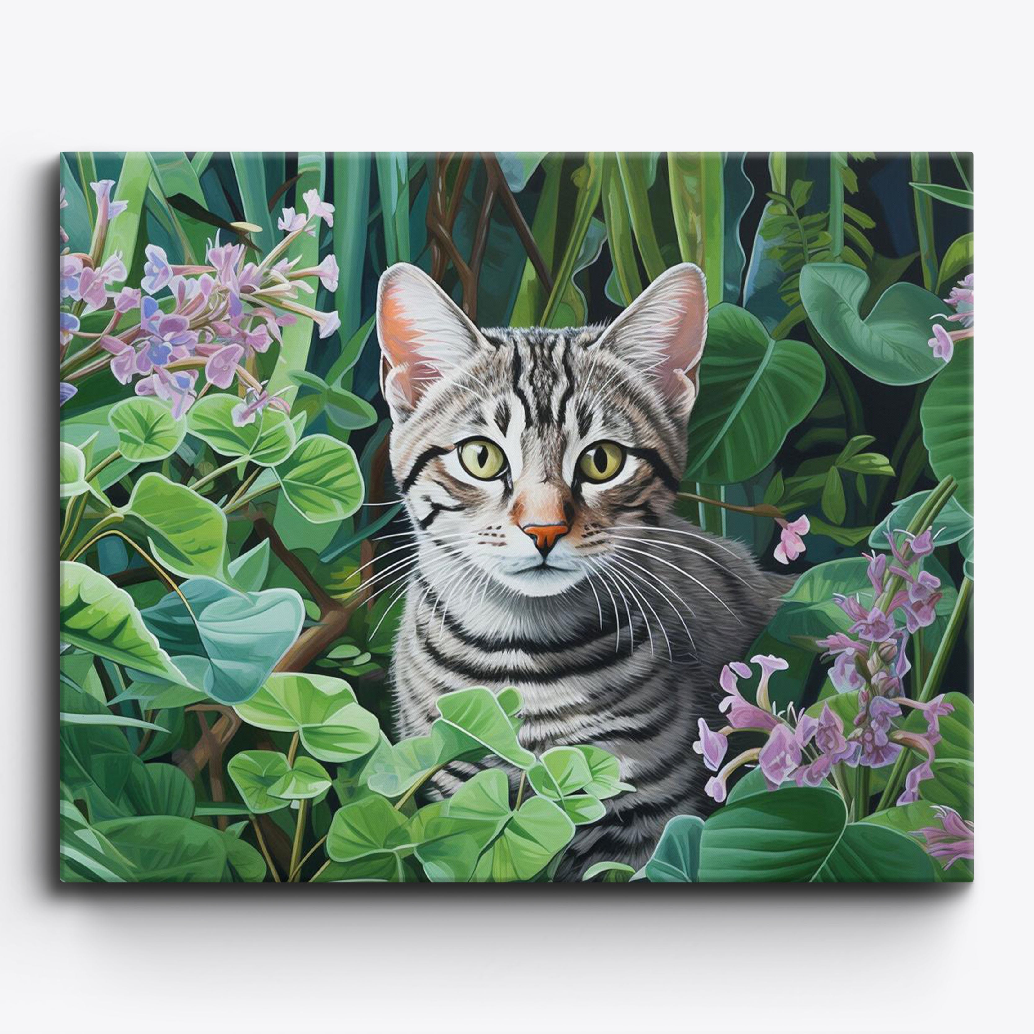 Cat di bellezza brasiliano
