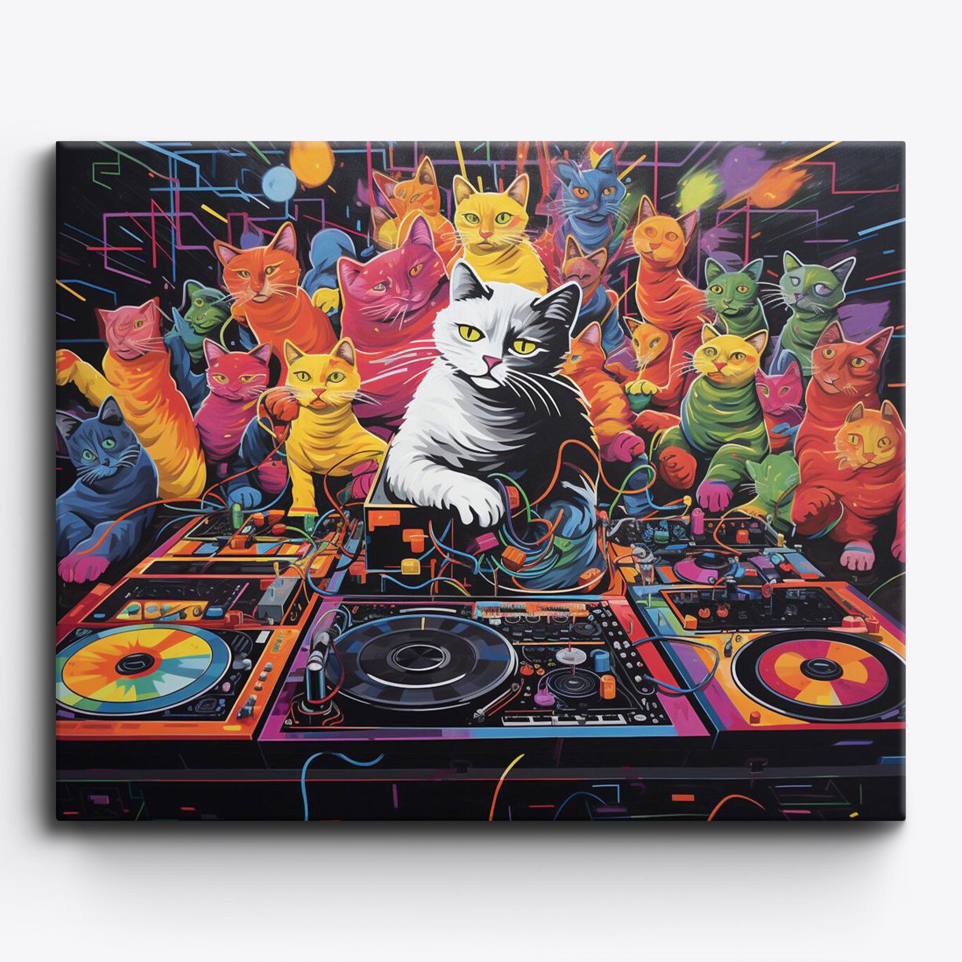 Cat DJ Vibes
