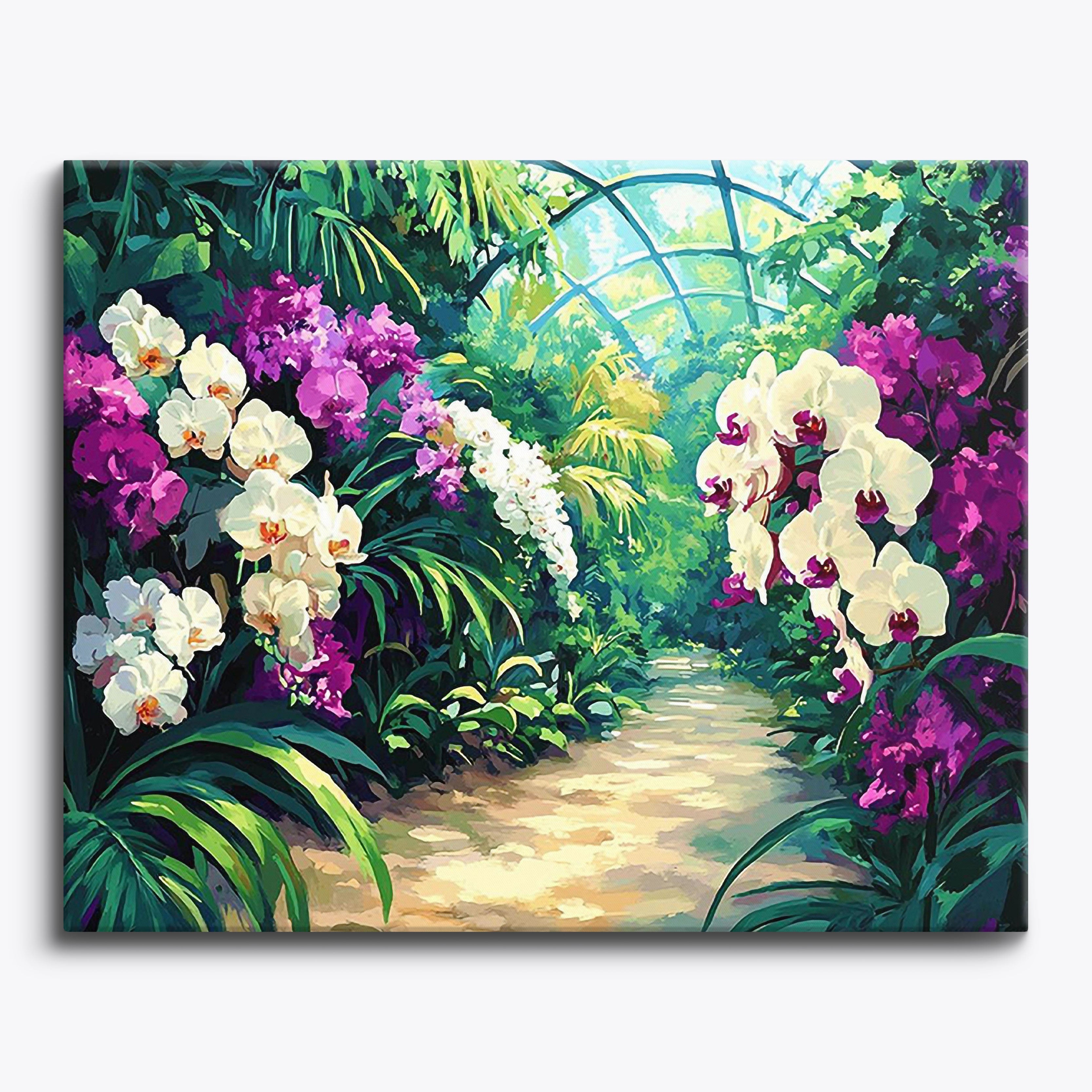 Orchidee