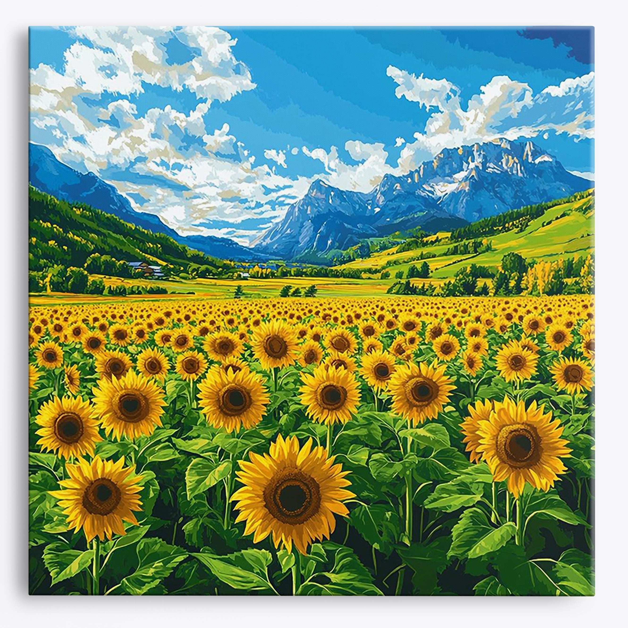 Girasoli illuminati dal sole