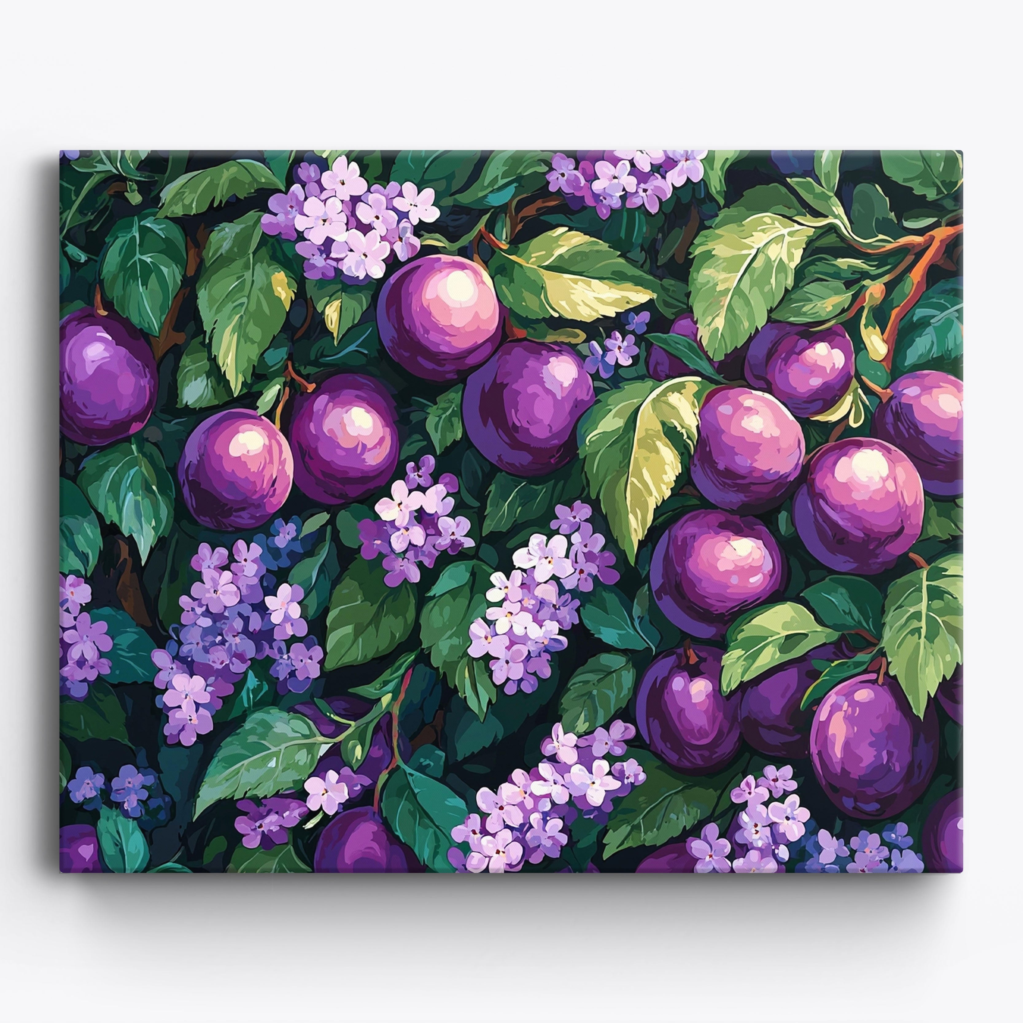 Plum -harmonie