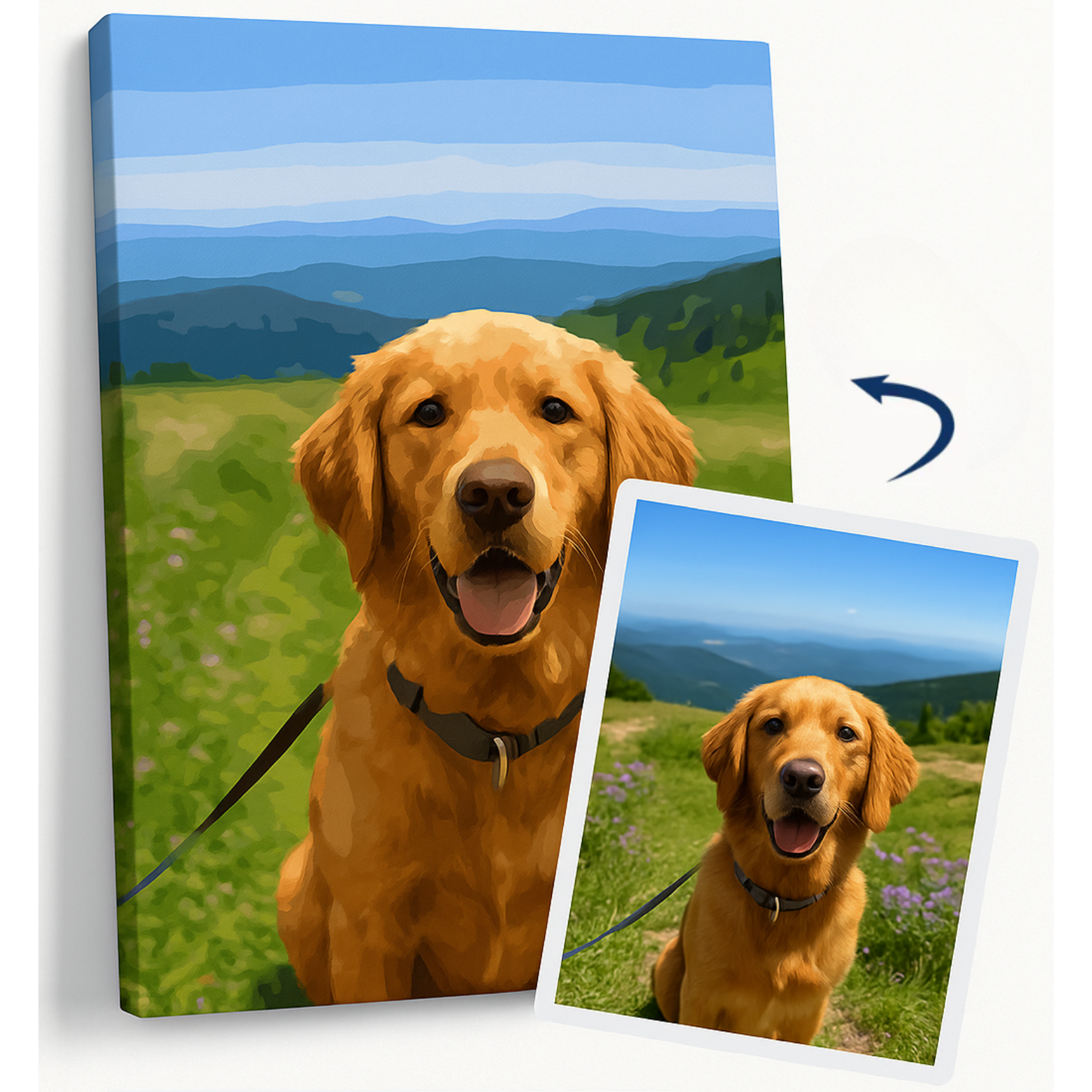 Custom Paint By Numbers Kit