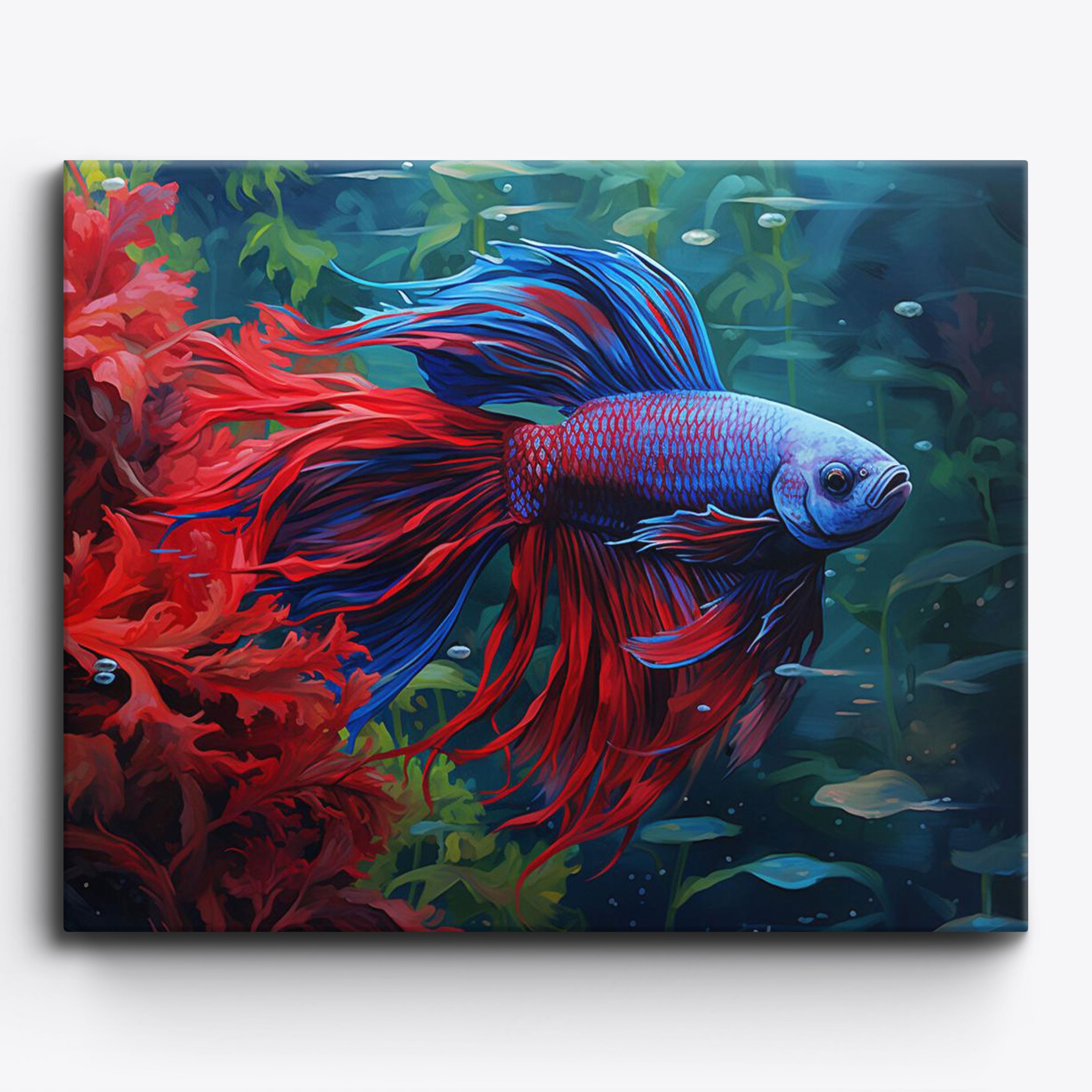 Beta Splash nr. 4