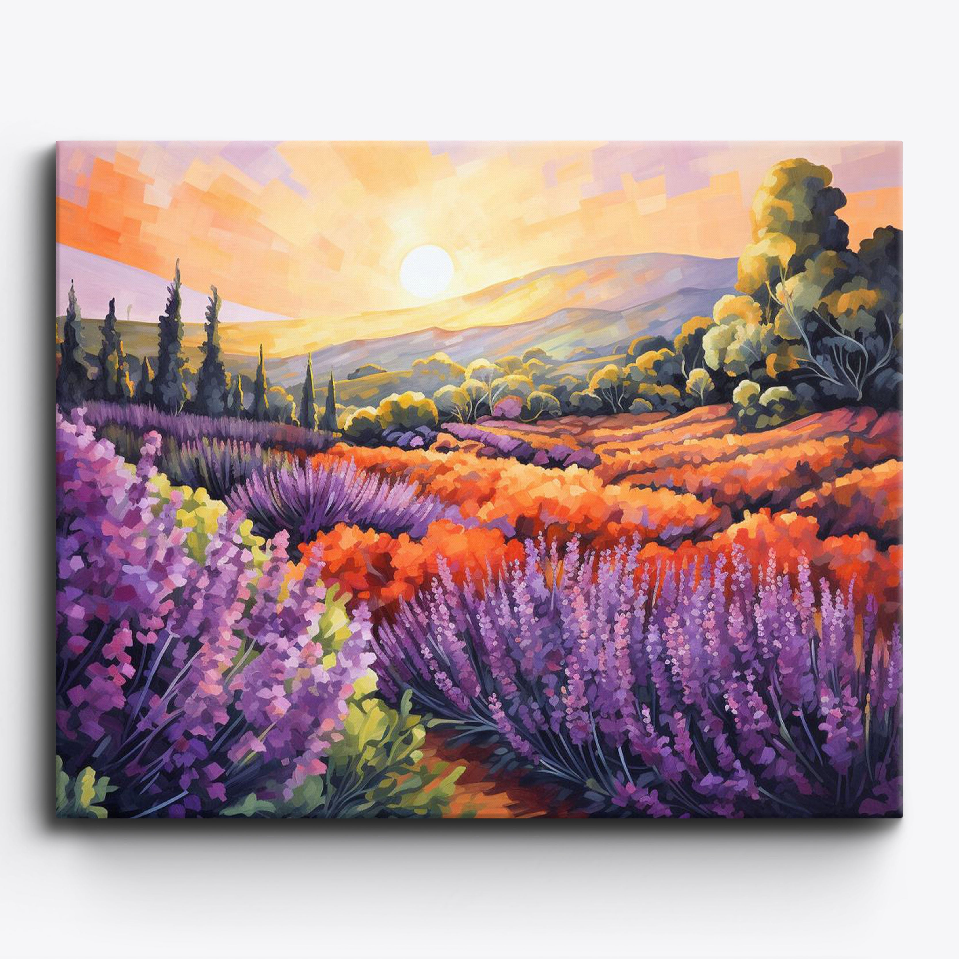 Lavendel Sonnenuntergangsfeld