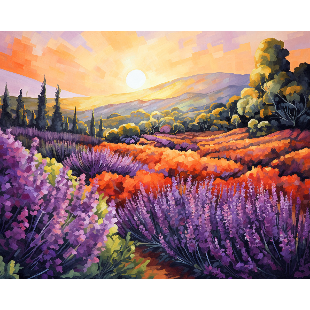 Lavendel Sonnenuntergangsfeld