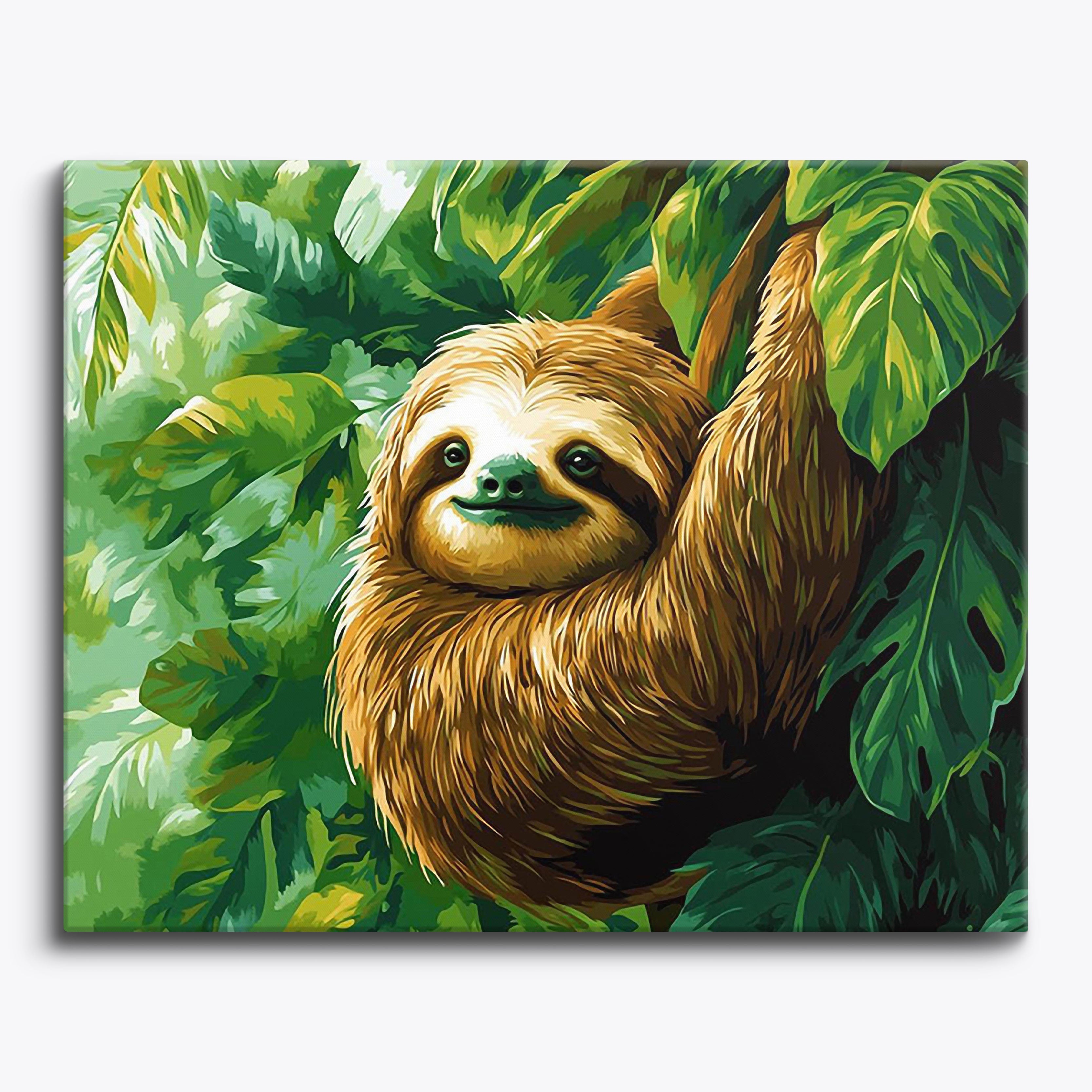 Sloth Calm